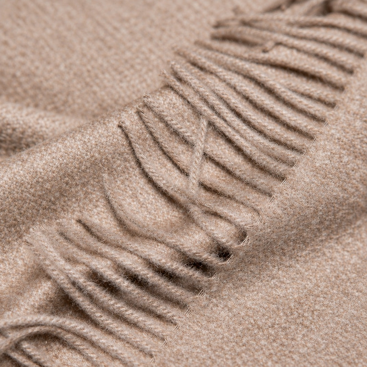 AI_DETAIL_1
